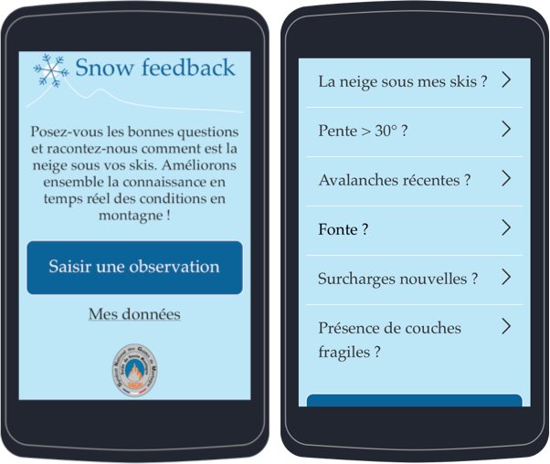 Snowfeedback